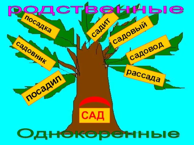 САД посадил садовник посадка садовод садовый садит рассада Однокоренные родственные