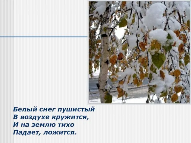 Белый снег пушистый В воздухе кружится, И на землю тихо Падает, ложится.