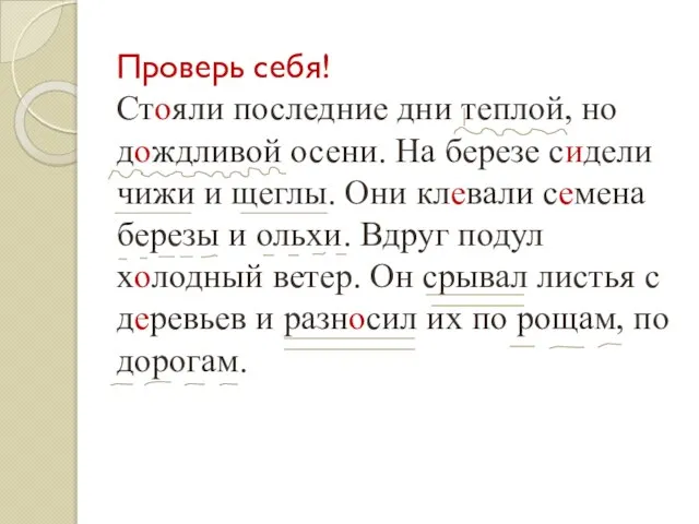 Проверь себя! Стояли последние дни теплой, но дождливой осени. На березе сидели