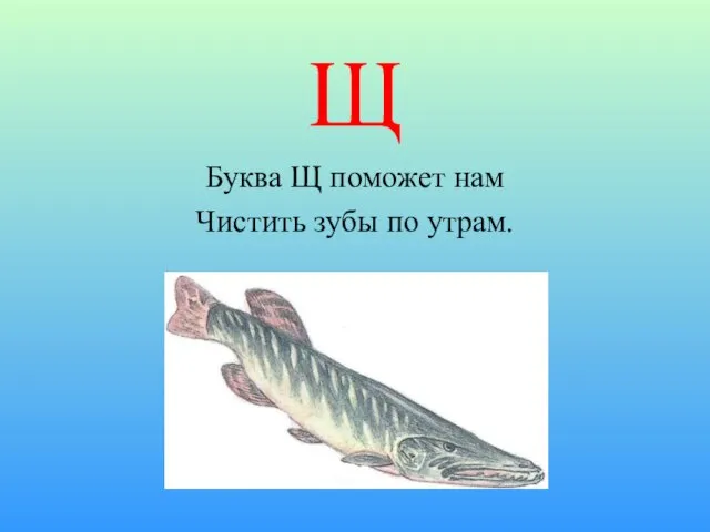 Щ Буква Щ поможет нам Чистить зубы по утрам.