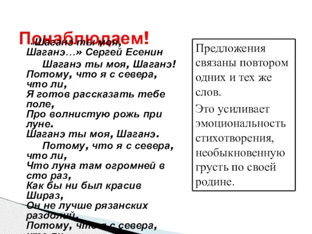 Понаблюдаем! «Шаганэ ты моя, Шаганэ…» Сергей Есенин Шаганэ ты моя, Шаганэ! Потому,