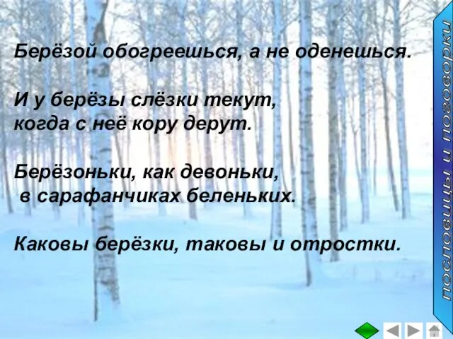 Берёзой обогреешься, а не оденешься. И у берёзы слёзки текут, когда с