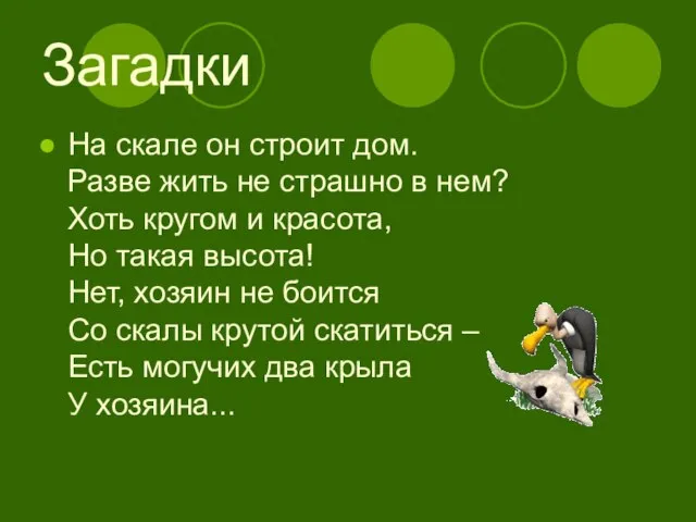 Загадки На скале он строит дом. Разве жить не страшно в нем?