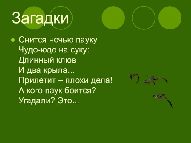 Загадки Снится ночью пауку Чудо-юдо на суку: Длинный клюв И два крыла...