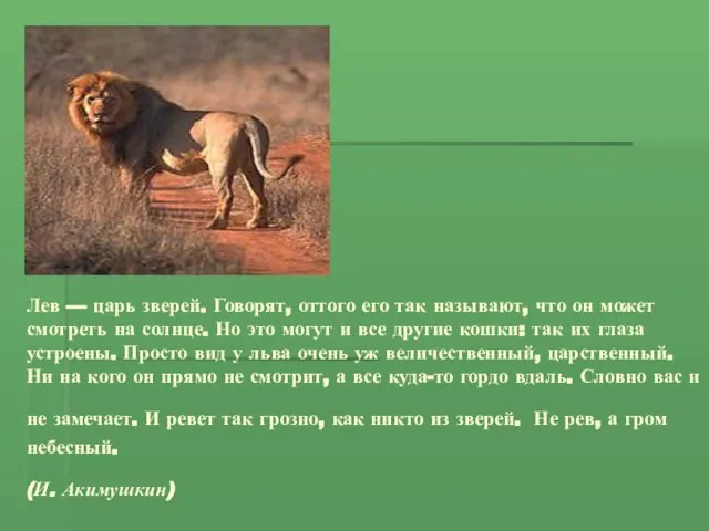 Лев — царь зверей. Говорят, оттого его так называют, что он может