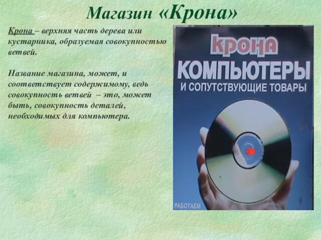 Магазин «Крона» Крона – верхняя часть дерева или кустарника, образуемая совокупностью ветвей.