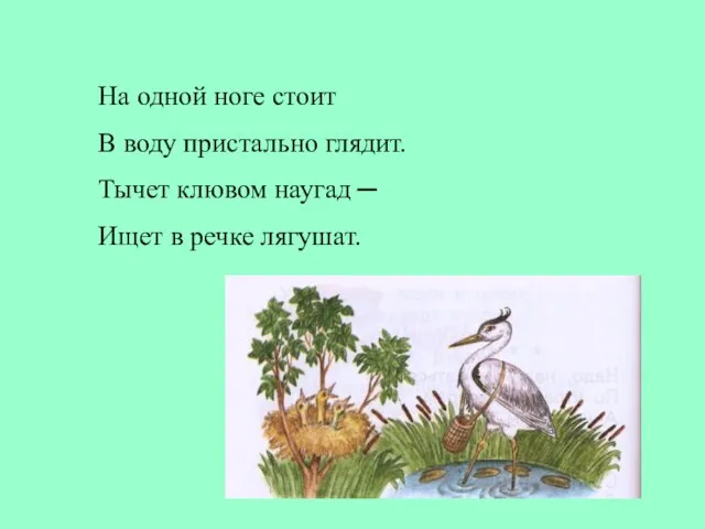 На одной ноге стоит В воду пристально глядит. Тычет клювом наугад ─ Ищет в речке лягушат.