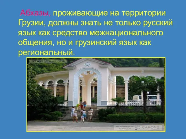 Абхазы, проживающие на территории Грузии, должны знать не только русский язык как