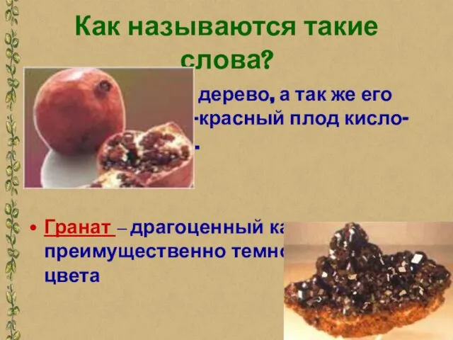 Как называются такие слова? Гранат - южное дерево, а так же его