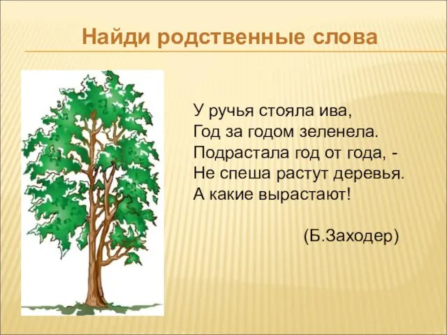 Найди родственные слова У ручья стояла ива, Год за годом зеленела. Подрастала