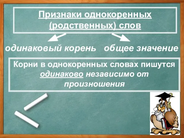 Признаки однокоренных (родственных) слов Корни в однокоренных словах пишутся одинаково независимо от