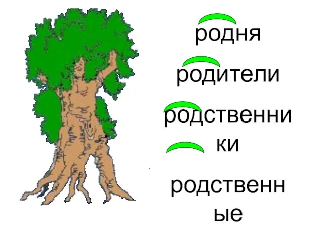 родня родители родственники родственные