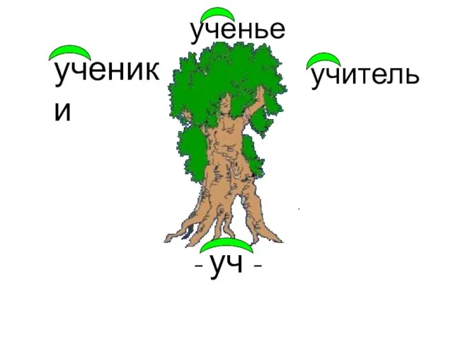 - уч - ученики учитель ученье