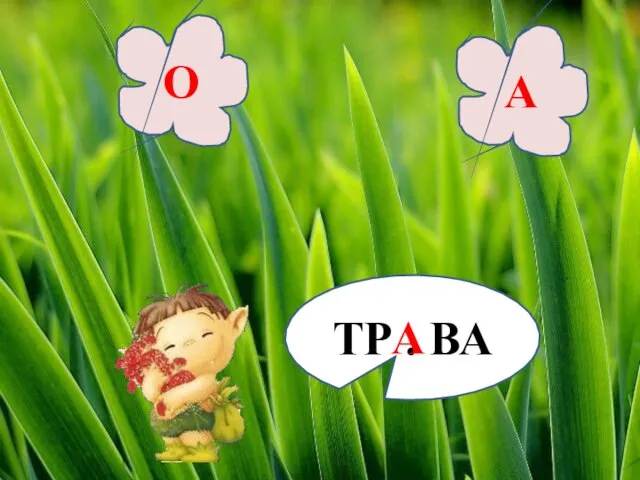 ТР . ВА О А А