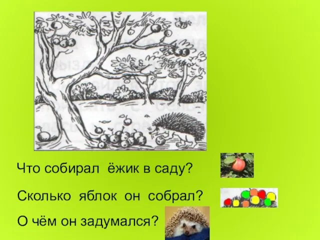 Что собирал ёжик в саду? Сколько яблок он собрал? О чём он задумался?