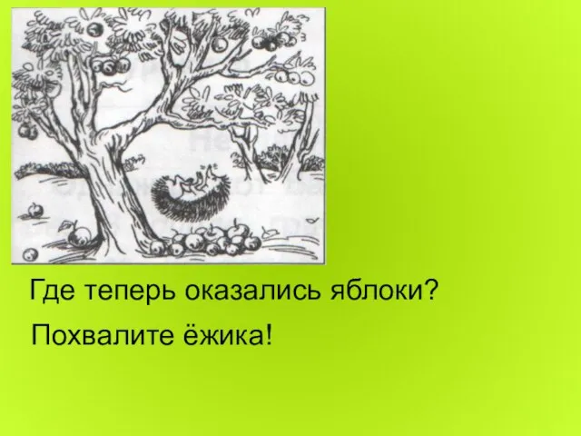 Где теперь оказались яблоки? Похвалите ёжика!