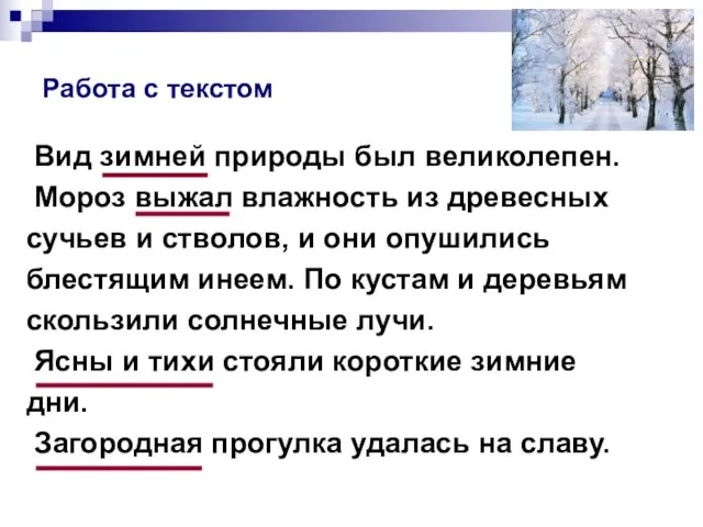 Работа с текстом Вид зимней природы был великолепен. Мороз выжал влажность из