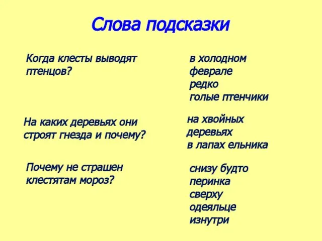 Слова подсказки Когда клесты выводят птенцов? в холодном феврале редко голые птенчики