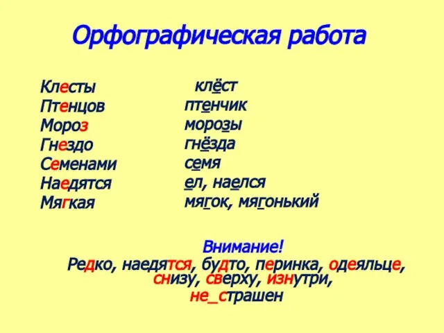 Орфографическая работа Клесты Птенцов Мороз Гнездо Семенами Наедятся Мягкая клёст птенчик морозы