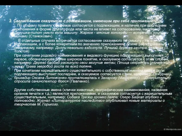 2. Согласование сказуемого с подлежащим, имеющим при себе приложение. По общему правилу