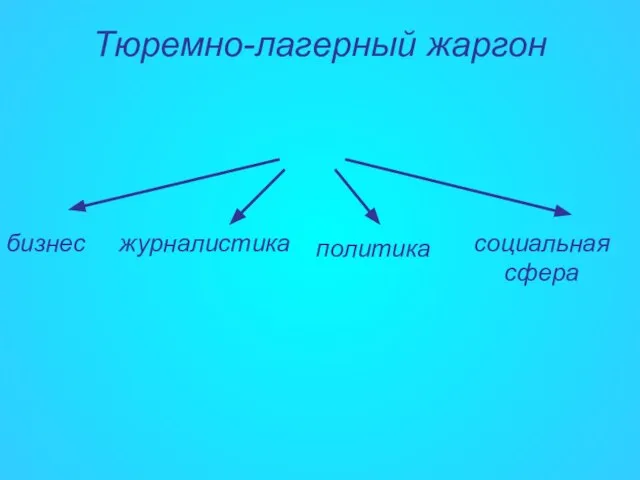 Тюремно-лагерный жаргон бизнес журналистика политика социальная сфера