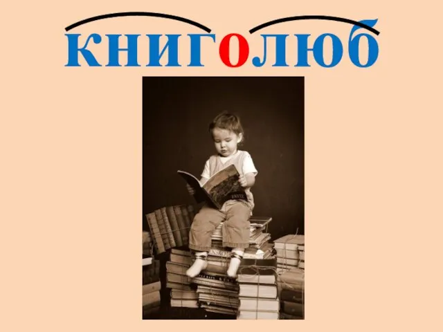 книголюб