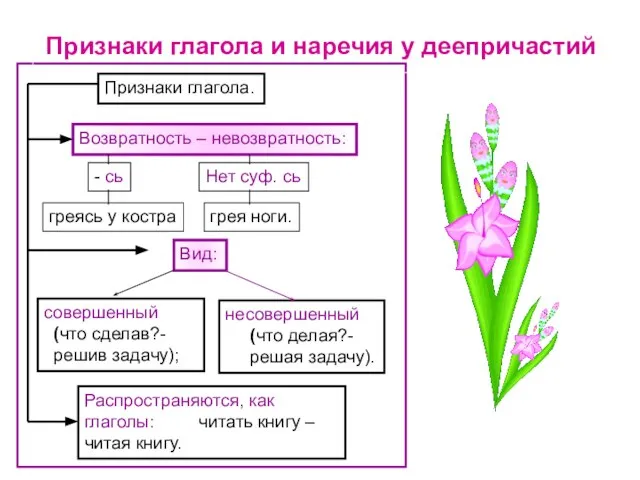 Признаки глагола и наречия у деепричастий Распространяются, как глаголы: читать книгу –