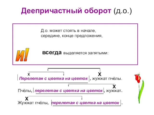 Деепричастный оборот (д.о.) и! Д.о. может стоять в начале, середине, конце предложения,