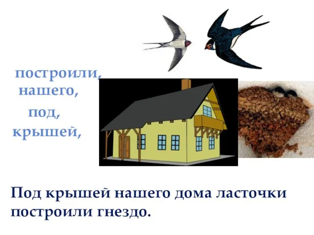 нашего, под, Под крышей нашего дома ласточки построили гнездо. построили, крышей,