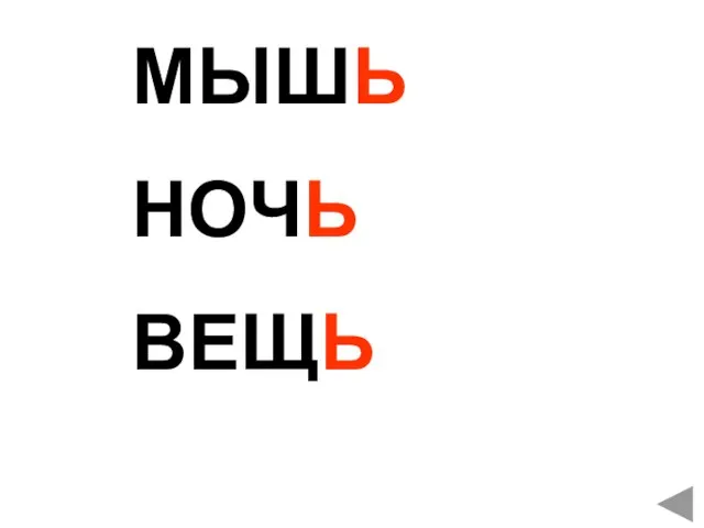 МЫШЬ НОЧЬ ВЕЩЬ