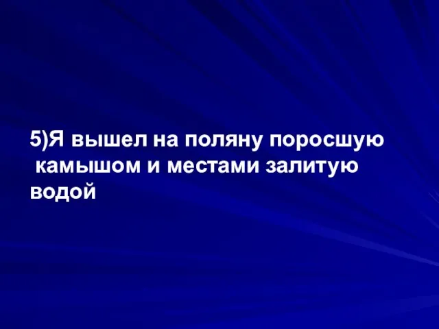 5)Я вышел на поляну поросшую камышом и местами залитую водой