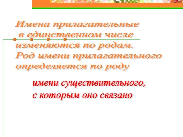 Имена прилагательные в единственном числе изменяются по родам. Род имени прилагательного определяется