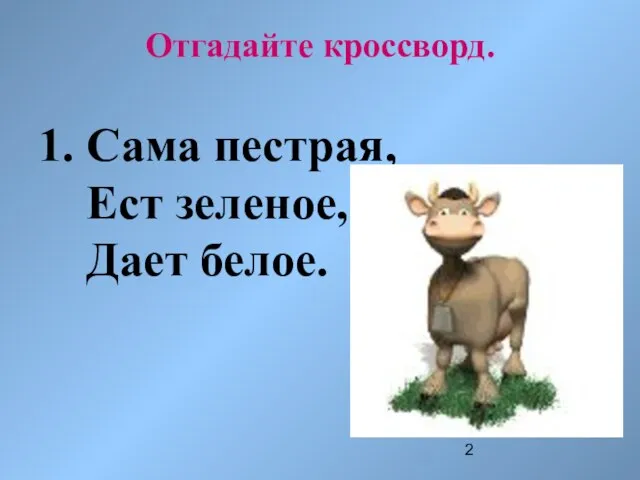 Отгадайте кроссворд. 1. Сама пестрая, Ест зеленое, Дает белое.