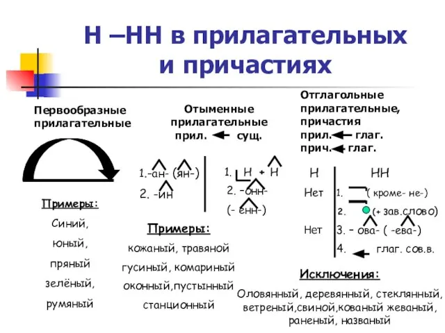 Н –НН в прилагательных и причастиях Первообразные прилагательные Отыменные прилагательные прил. сущ.