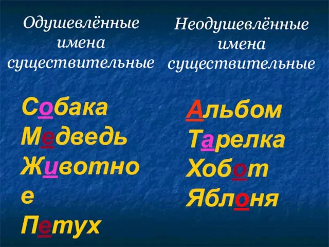 Одушевлённые имена существительные Собака Медведь Животное Петух Альбом Тарелка Хобот Яблоня Неодушевлённые имена существительные