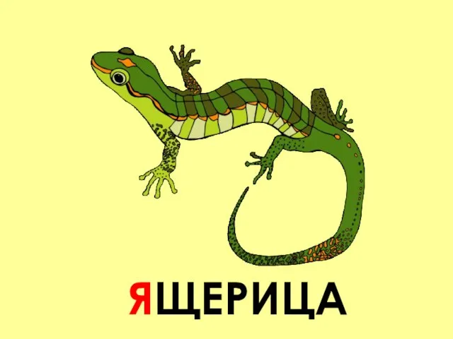 ЯЩЕРИЦА