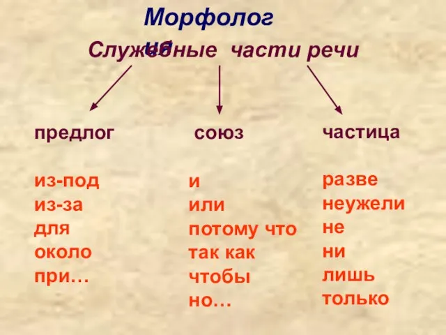 Морфология Служебные части речи предлог из-под из-за для около при… союз и