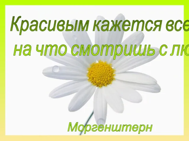 Красивым кажется все, на что смотришь с любовью. Моргенштерн