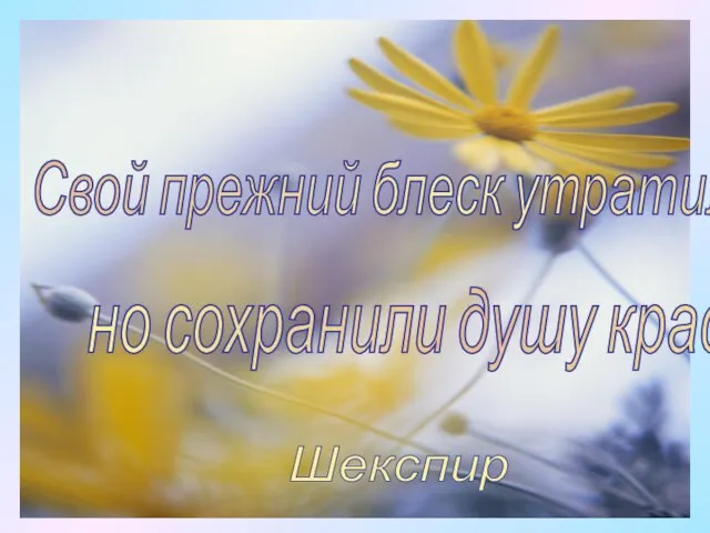 Свой прежний блеск утратили цветы, но сохранили душу красоты. Шекспир