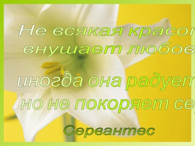 Не всякая красота внушает любовь: иногда она радует взор, но не покоряет сердца. Сервантес