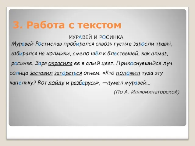 3. Работа с текстом МУРАВЕЙ И РОСИНКА Муравей Ростислав пробирался сквозь густые