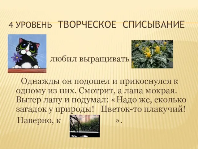 любил выращивать Однажды он подошел и прикоснулся к одному из них. Смотрит,