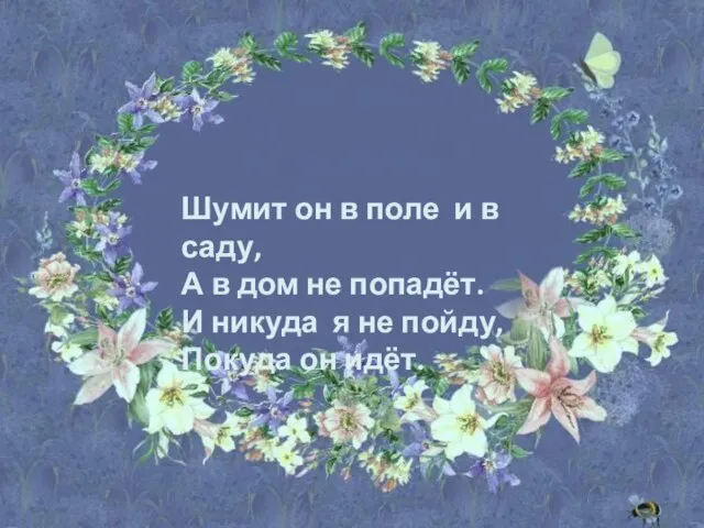 Шумит он в поле и в саду, А в дом не попадёт.