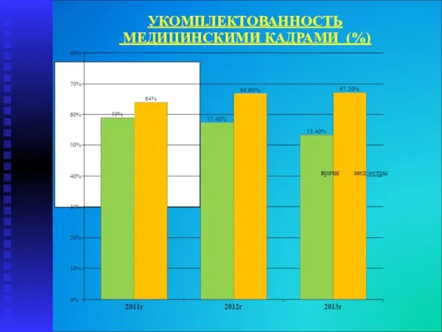 УКОМПЛЕКТОВАННОСТЬ МЕДИЦИНСКИМИ КАДРАМИ (%)