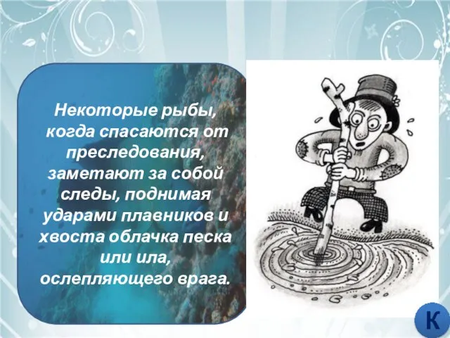 МУТИТЬ ВОДУ Некоторые рыбы, когда спасаются от преследования, заметают за собой следы,