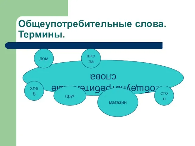 Общеупотребительные слова. Термины. общеупотребительные слова дом стол друг магазин хлеб школа