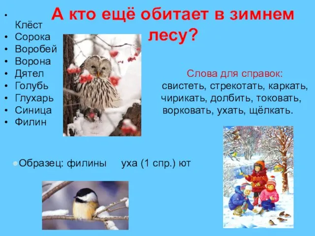 А кто ещё обитает в зимнем лесу? Клёст Сорока Воробей Ворона Дятел