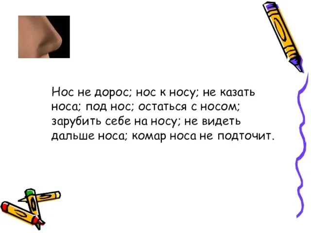 Нос не дорос; нос к носу; не казать носа; под нос; остаться