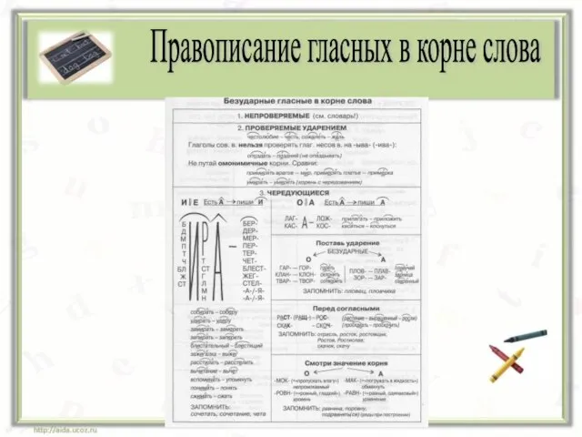 Правописание гласных в корне слова