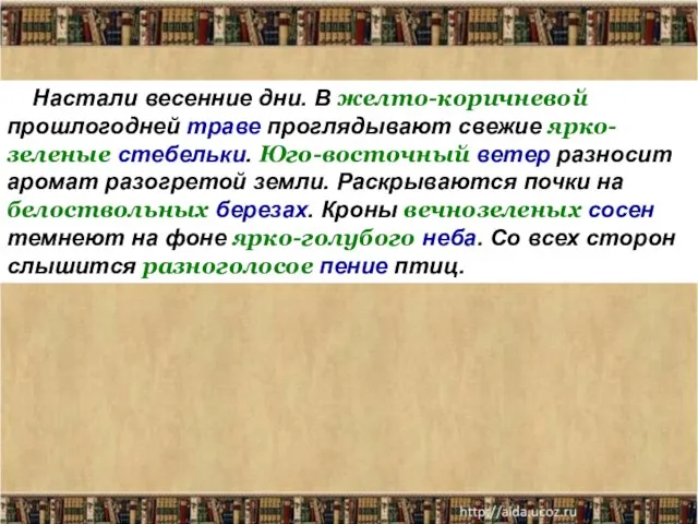 Настали весенние дни. В желто-коричневой прошлогодней траве проглядывают свежие ярко-зеленые стебельки. Юго-восточный